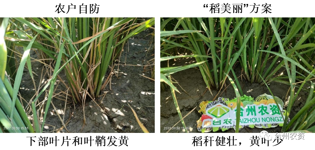 1675664107998337.png 640 (43).png